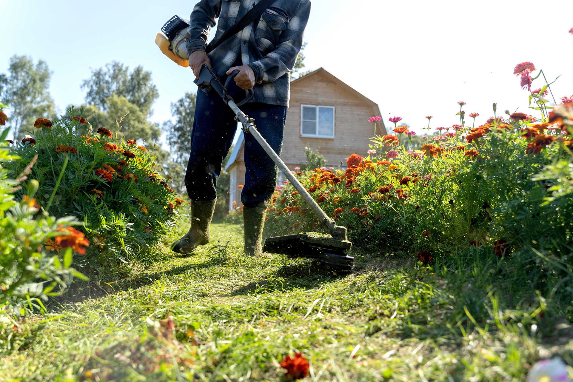 Linde Bagger + Garten Gartenpflege